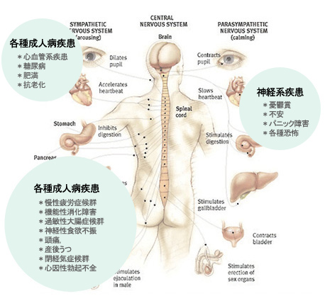 HRV適用範囲